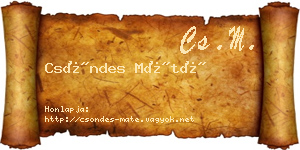 Csöndes Máté névjegykártya
